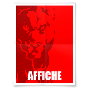 Affiches